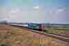 jdmC80-15
