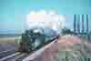 jdmC51-35
