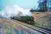 jdmC52-33
