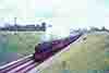 jdmC56-32
