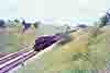 jdmC56-36

